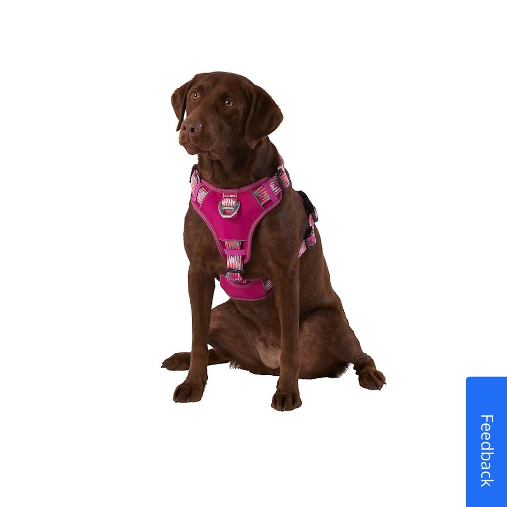 small dog harness - Picture 8 of 13
